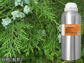 有機(jī)絲柏精油柏樹精油
