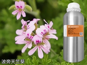 天竺葵精油大宗采購(gòu)源頭廠家直供一手批發(fā)商