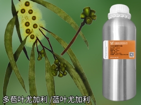 YS垣鑫多苞葉尤加利精油精油批發(fā)網(wǎng)直接供貨更低價(jià)格