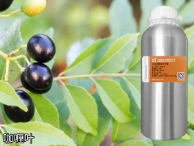 咖喱葉精油原料批發(fā)品牌OEM
