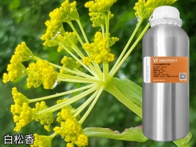 白松香精油批發(fā)