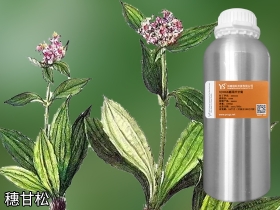 穗甘松單方精油批發(fā)