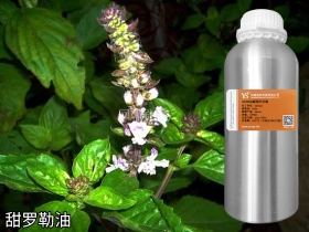 甜羅勒精油批發(fā)