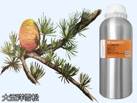 廣東大西洋雪松精油大西洋柏木油批發(fā)