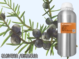 YS杜松莓油 | 又叫刺柏果，它的功效與作用是？生活中什么產(chǎn)品有它？