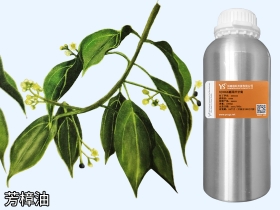 YS芳樟葉精油芳樟精油批發(fā)廠家