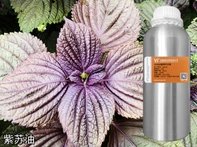 紫蘇精油中藥油批發(fā)