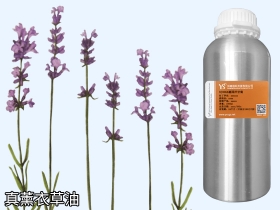 真薰衣草精油真正薰衣草精油批發(fā)