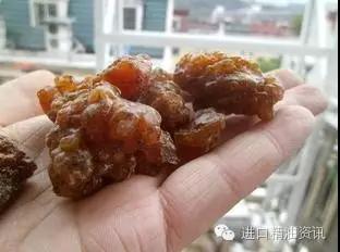 沒藥