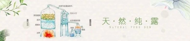 微信圖片_20210305162639.jpg
