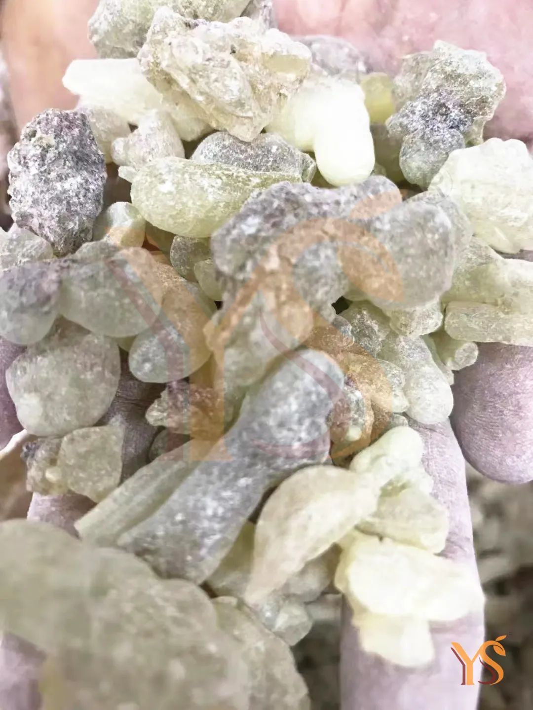索馬里乳香純露綠乳香純露YS天然植物純露